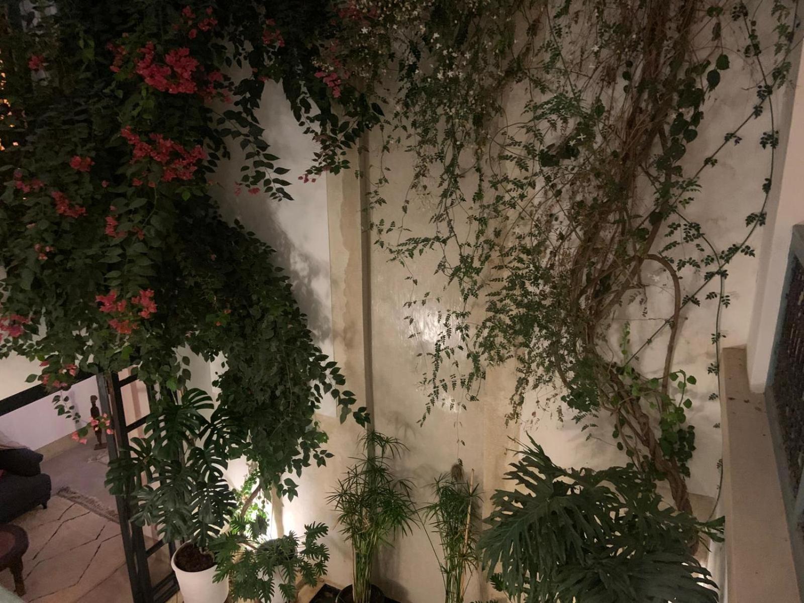 Le Petit Pacha Hotel Marrakesh Exterior foto